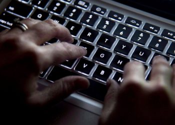 Online Investment Fraud Network Taken Down by Law Enforcement