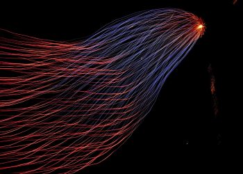 Graph Neural Networks in Python