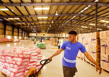 TradeDepot Acquires Green Lion to Expand into Ghana