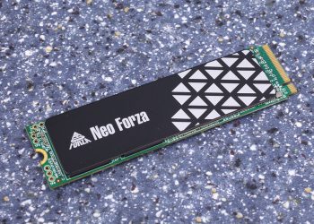 Neo Forza NFP400 Series NFP455 1 TB SSD