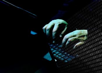 New Zealand Identifies 90,000 CSAM Trading Accounts