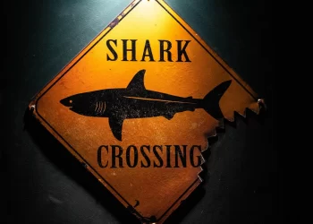 SharkBot malware hides as Android antivirus in Google Play