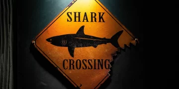 SharkBot malware hides as Android antivirus in Google Play