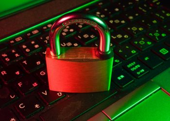 Secure Password Handling in Python