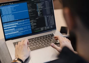 Why and Why Not Go for Python Development?