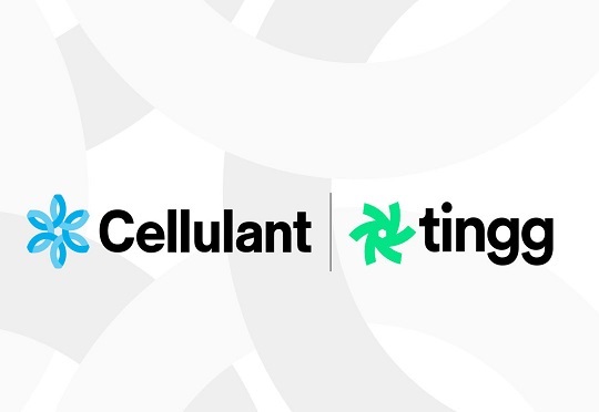 Cellulant recognized as Best digital payment solutions provider in Africa