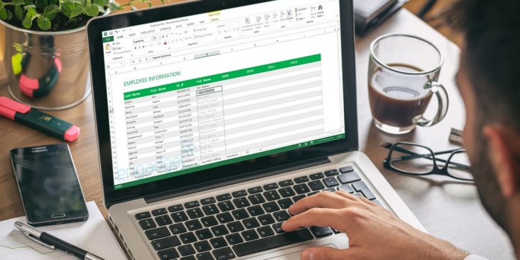 How to Edit an Excel Spreadsheet With Python and Openpyxl