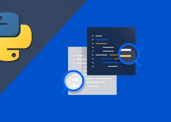 How to use the main function in Python